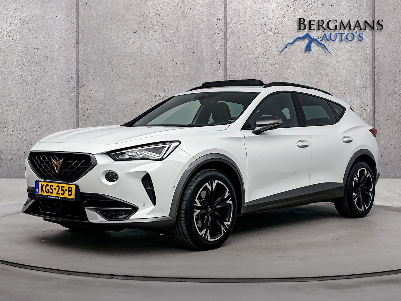 CUPRA Formentor - - 1.5 TSI DSG // TREKHAAK // SCHUIFDAK // SFEERLICHT - AutoWereld.nl