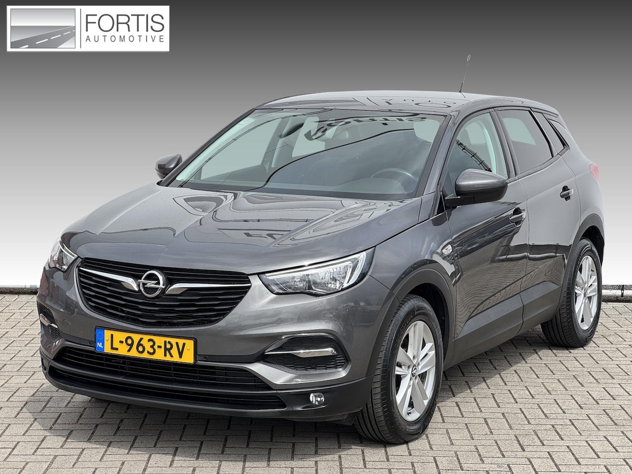 Opel Grandland X - 1.2 Turbo Business Edition TREKHAAK | WINTER PACK| CARPLAY NAVI - AutoWereld.nl