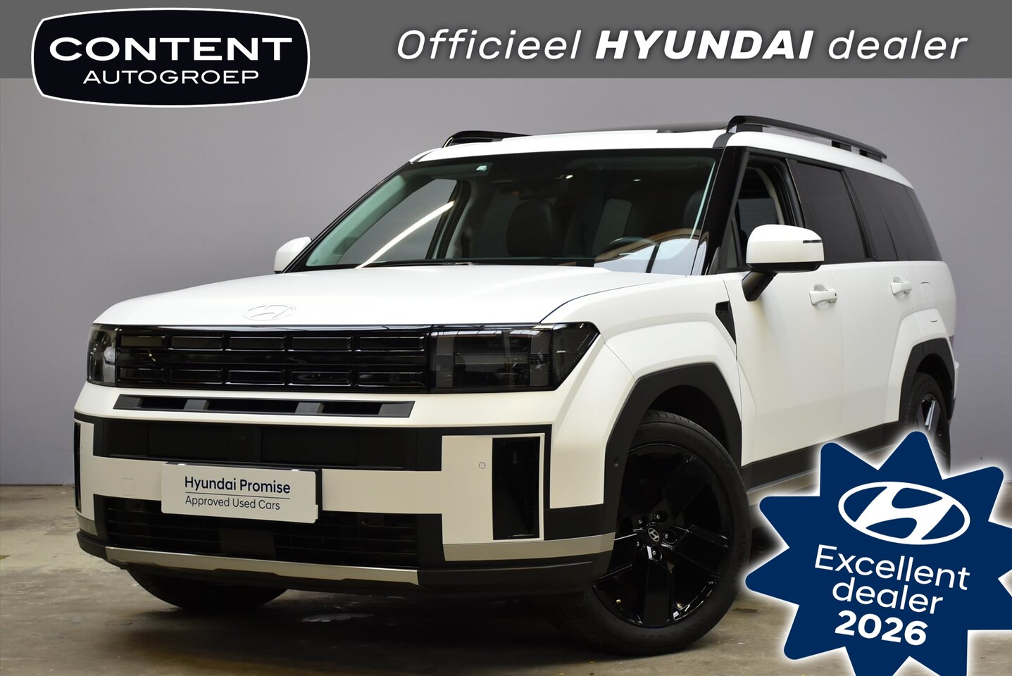 Hyundai Santa Fe - 1.6 T-GDi HEV A/T Premium Sky I Black Pack I 7pl. - AutoWereld.nl