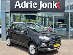 Ford EcoSport - 1.0 EcoBoost Titanium | CRUISE CONTROL | CLIMATE CONTROL | HALF LEDER | WINTERSET | 16 INC