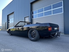 Volkswagen Buggy - kitcar Griffin