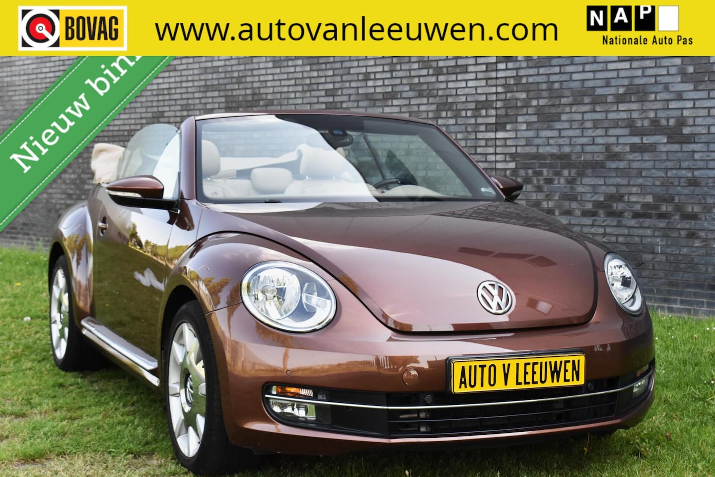 Volkswagen Beetle Cabriolet - Turbo Exclusive Series Cabriolet APPLE CARPLAY-ANDROID/STOELVW/PDC/ETC.! - AutoWereld.nl