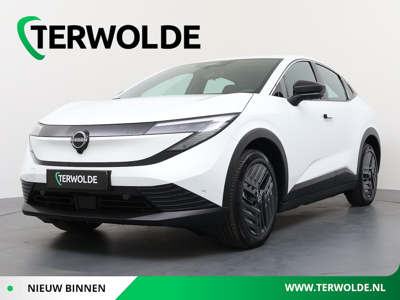 Nissan LEAF - Engage 52 kWh | Cold Pack | - AutoWereld.nl