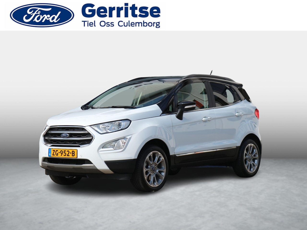 Ford EcoSport - 1.0 EcoBoost Titanium Winter-, Parking-, Design Pack, NAV, Camera - AutoWereld.nl
