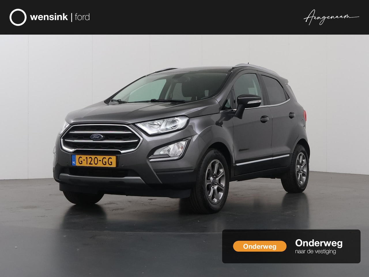 Ford EcoSport - 1.0 EcoBoost Titanium | Trekhaak | Panoramadak | Winterpakket | Parkeercamera | Keyless Go - AutoWereld.nl