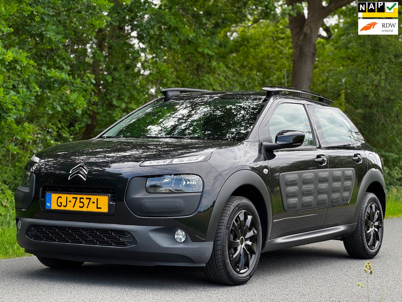 Citroën C4 Cactus - 1.2 e-VTi Business|AUT|NAVI|CAMERA|PSENSOR|TREKHAAK|BOEKJES|2XSLEUTELS - AutoWereld.nl
