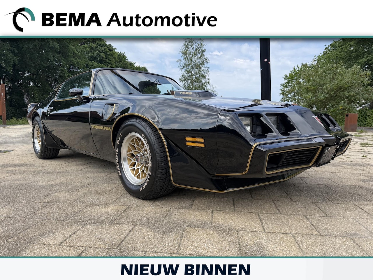 Pontiac Firebird - 6.6 FW 87 Trans Am 6.6 FW 87 Trans Am - AutoWereld.nl
