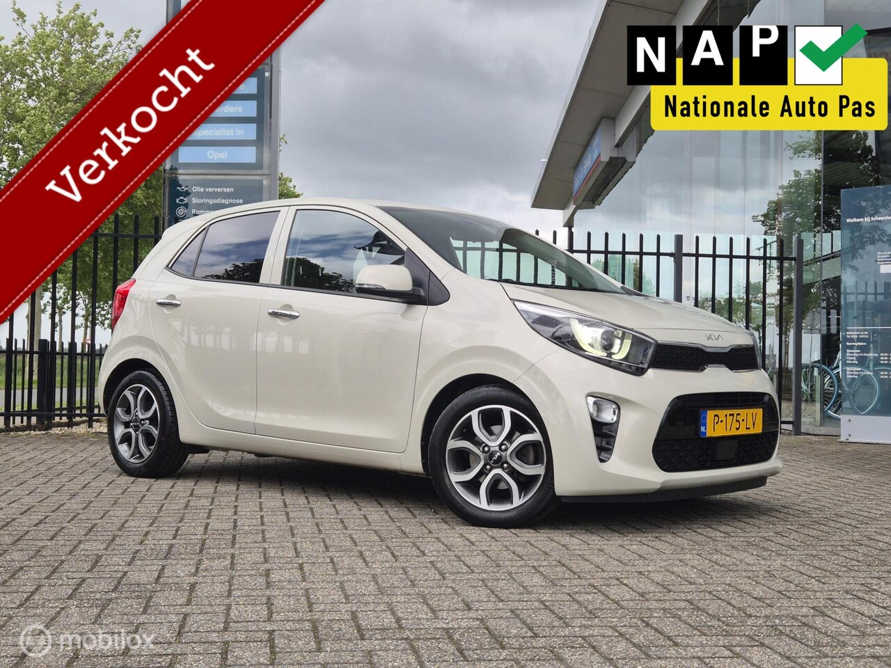 Kia Picanto - 1.0|DynamicPlusLine|Clima|Cruise|Carplay - AutoWereld.nl