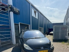 Peugeot 307 - 1.6-16V Gentry