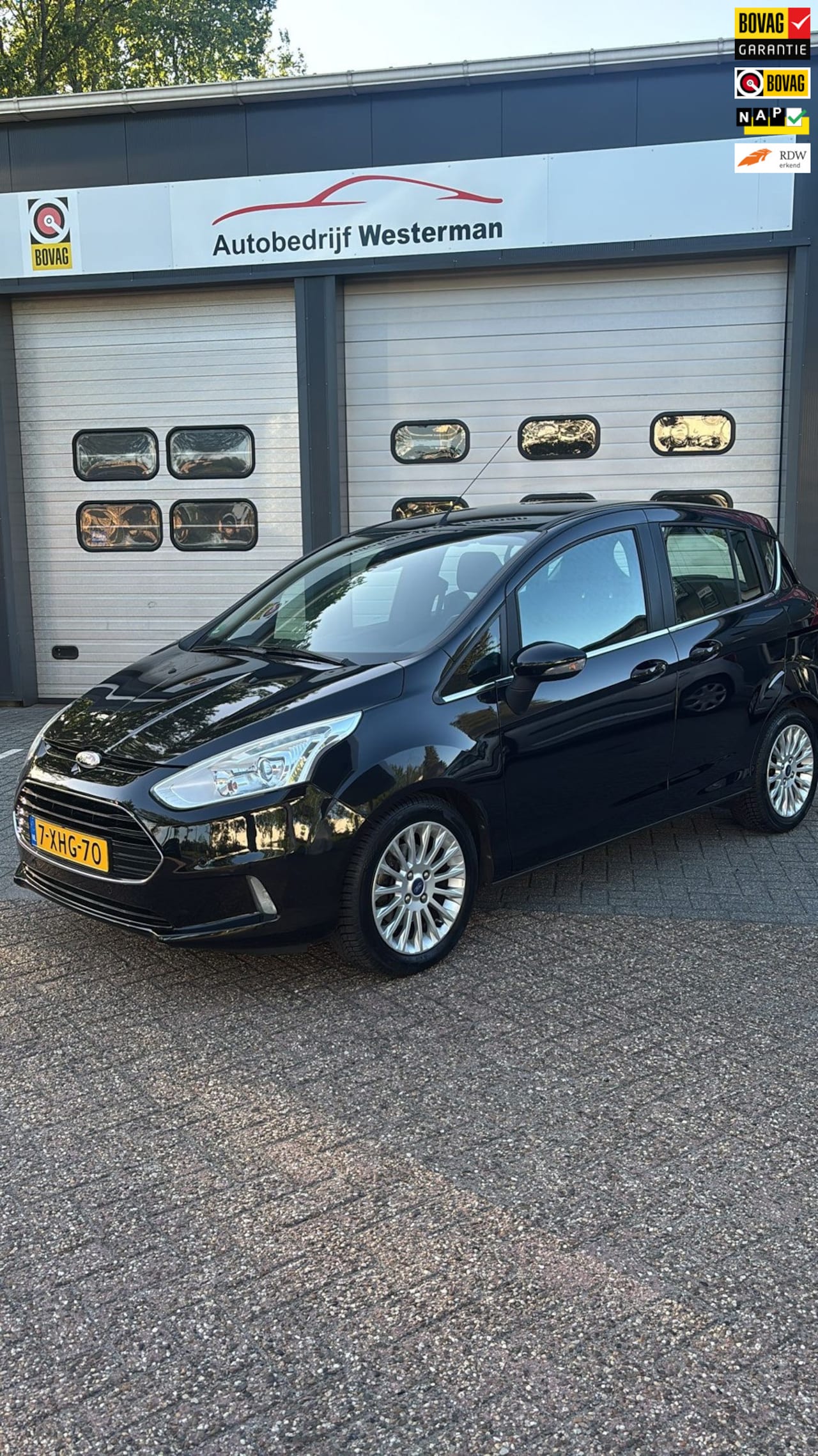 Ford B-Max - 1.0 EcoBoost Titanium Nieuwe distributie / Garantie / Apk - AutoWereld.nl