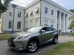 Lexus NX - 300h AWD HYBRID 1:20 1E EIG