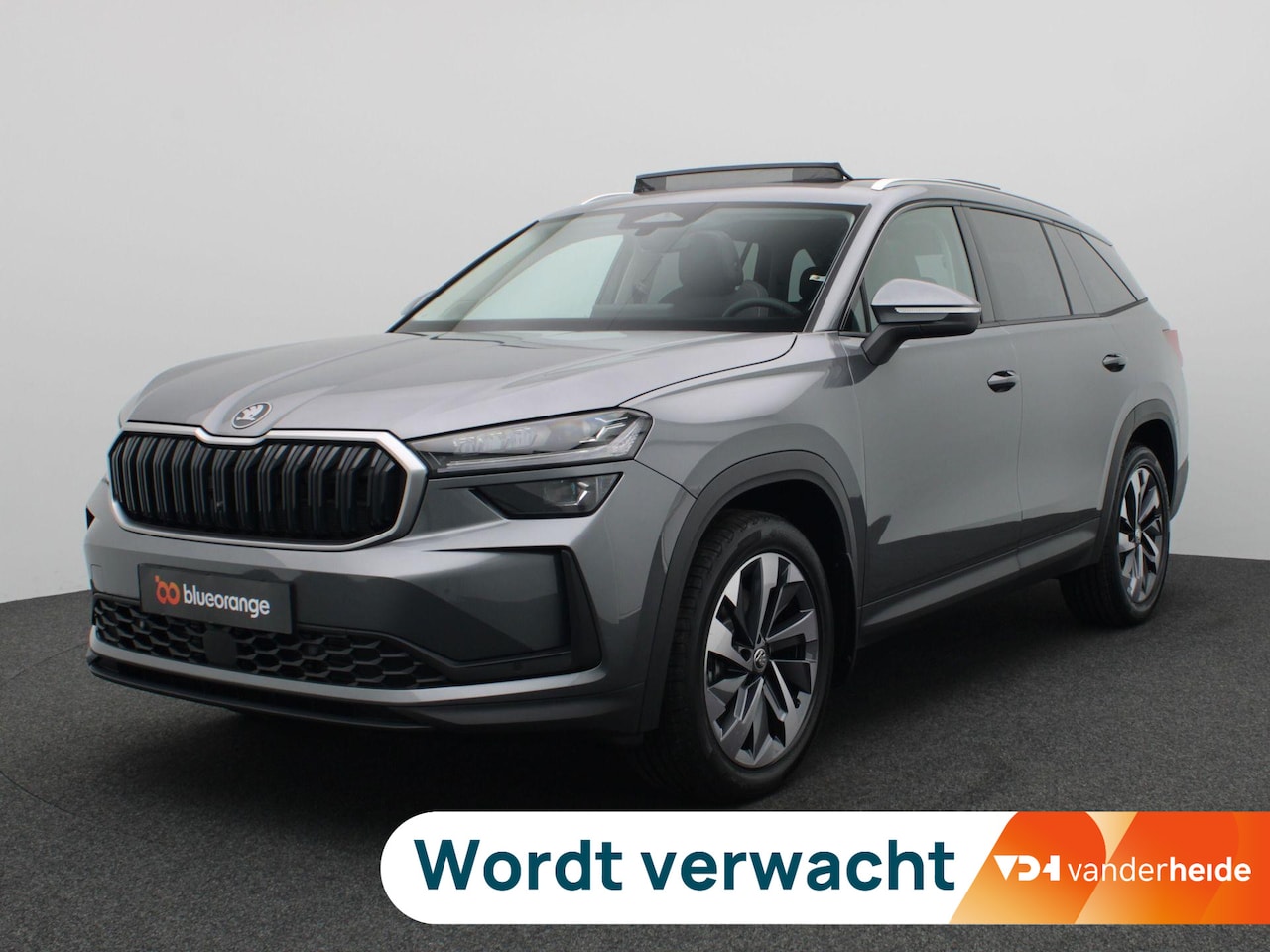 Skoda Kodiaq - 1.5 TSI MHEV Business Edition 7p. 150PK DSG matrix led, trekhaak, adaptive cruise met trav - AutoWereld.nl