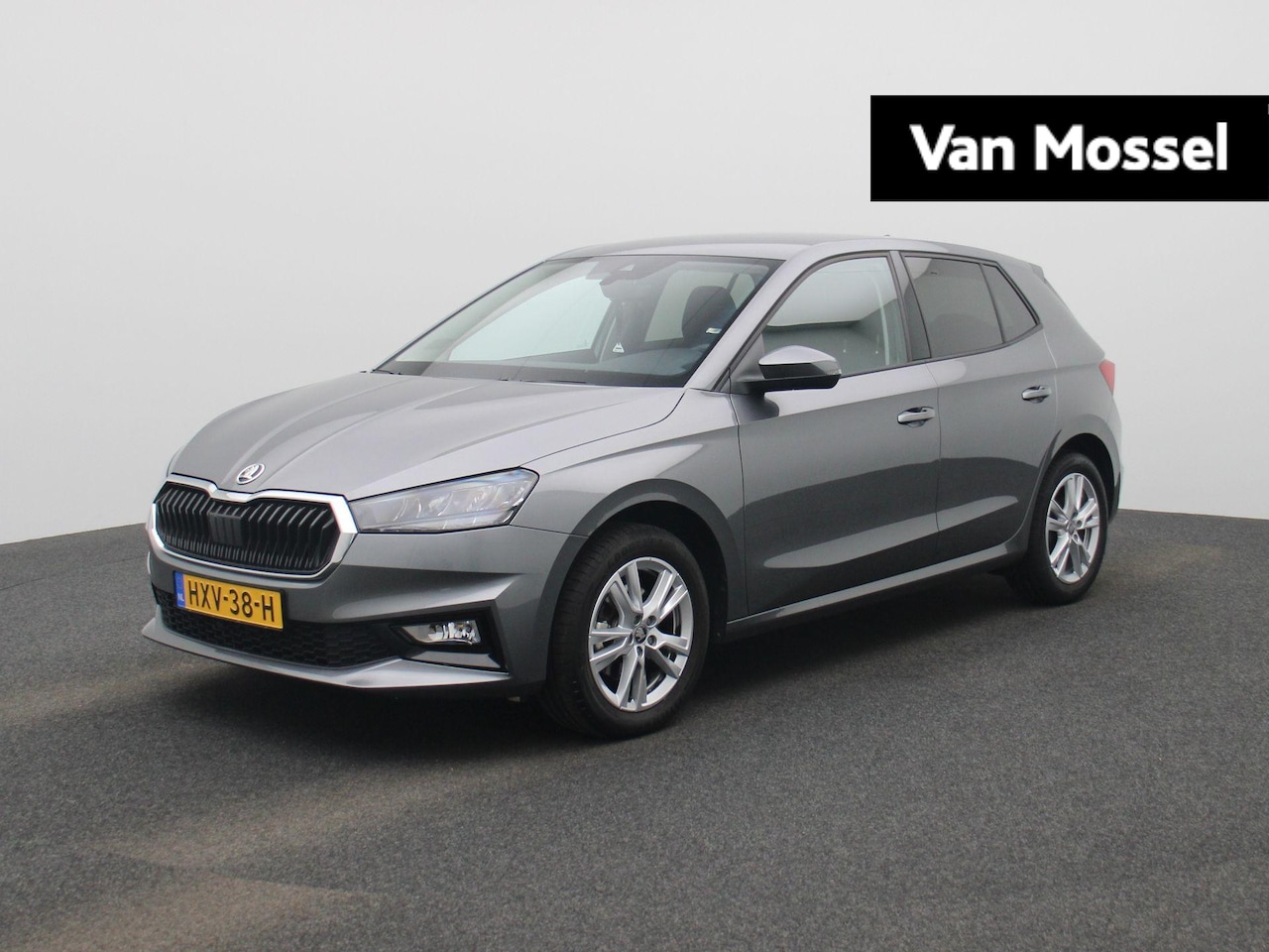 Skoda Fabia - 1.0 TSI Selection Metallic lak | DSG/AUTOMAAT | 16"Lichtmetalen velgen Zilver gepolijst | - AutoWereld.nl