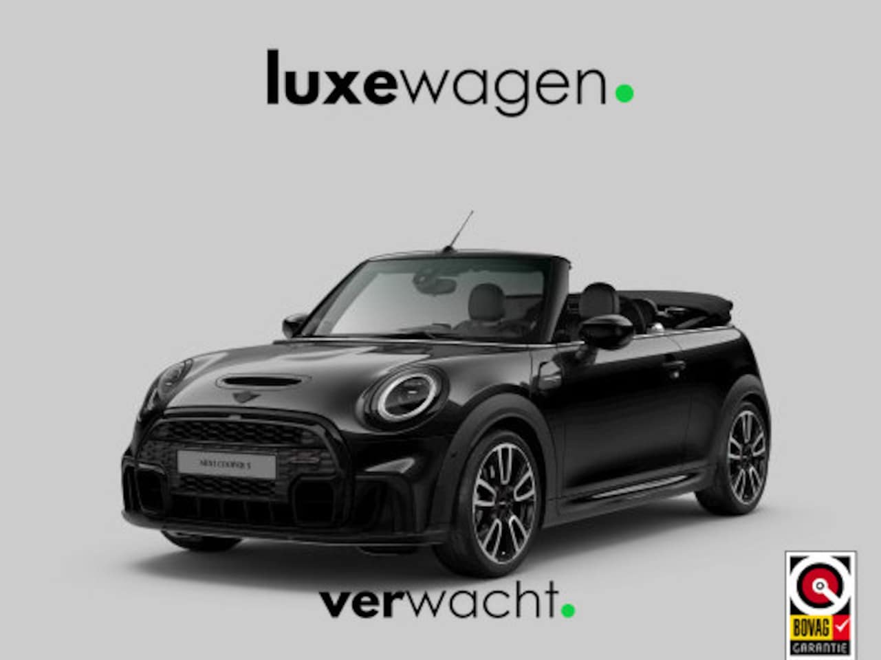 MINI Cabrio - Mini 2.0 Cooper S JCW ACC HUD H/K Carplay Camera Black-pack DDC - AutoWereld.nl