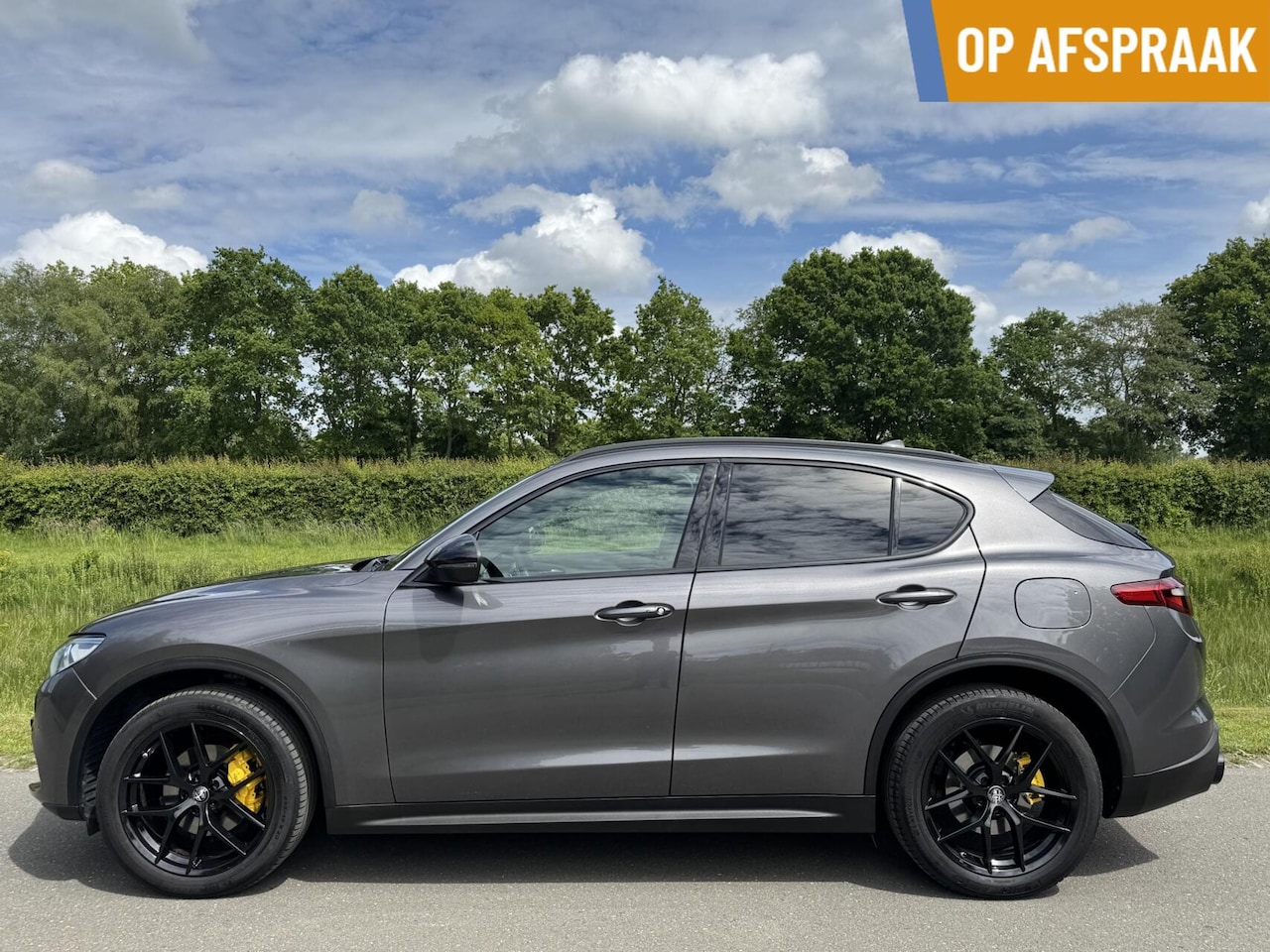 Alfa Romeo Stelvio - 2.0t Q4 310pk Veloce, 20 inch, 85dkm!! - AutoWereld.nl