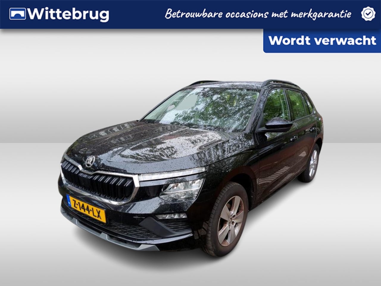 Skoda Kamiq - 1.0 TSI Selection / App connect / Climate controle / Lichmetaal 16 inch / Parkeersensoren - AutoWereld.nl