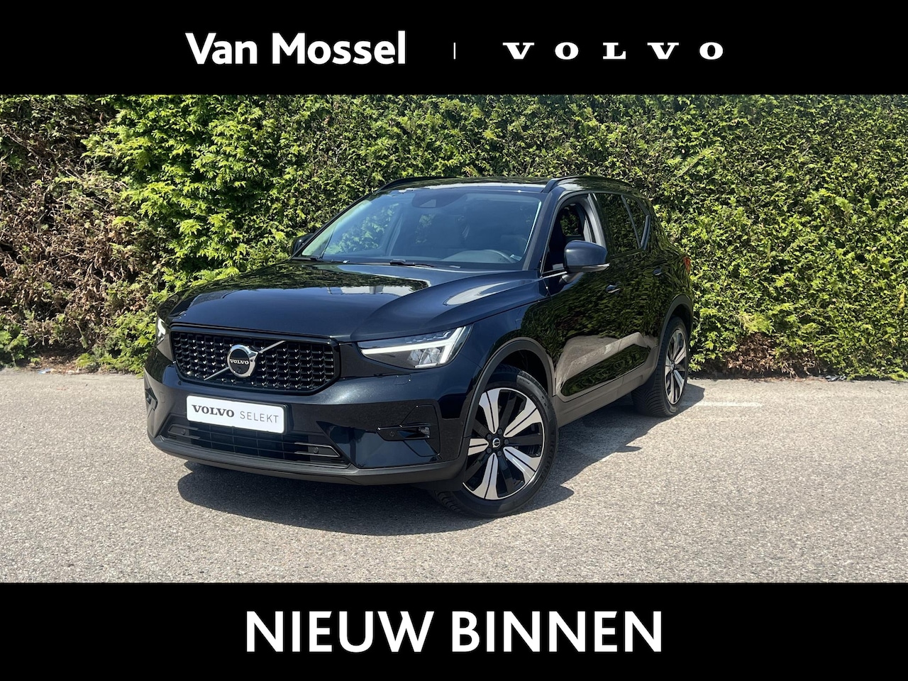 Volvo XC40 - T5 Recharge Inscription | Blis | Pano dak | Trekhaak | Parkeer camera\sensoren | Elektrisc - AutoWereld.nl
