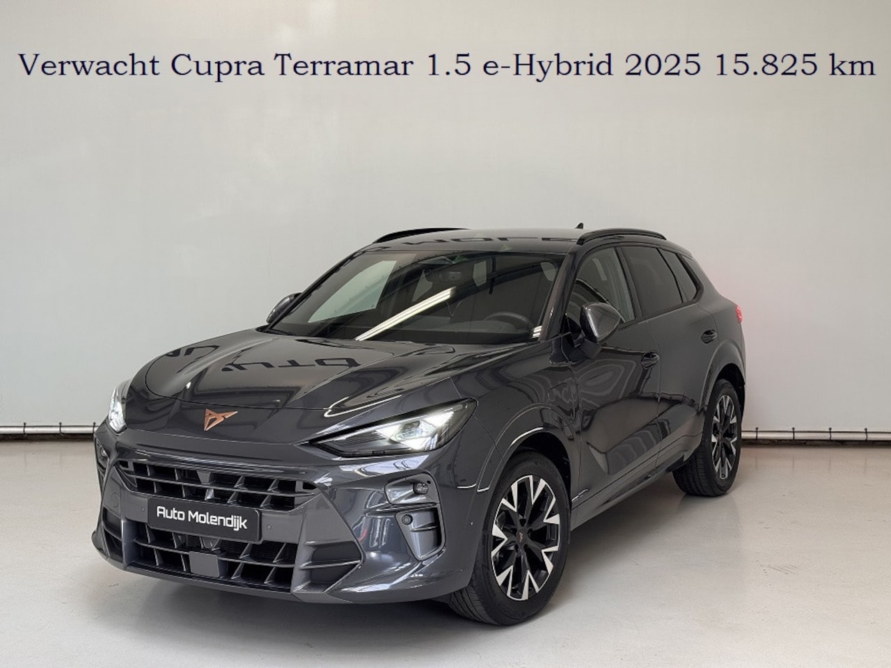 CUPRA Terramar - 1.5 TSI PHEV e-Hybrid / Memory / el. klep/ HuD / virtual / 5jr Garantie - AutoWereld.nl