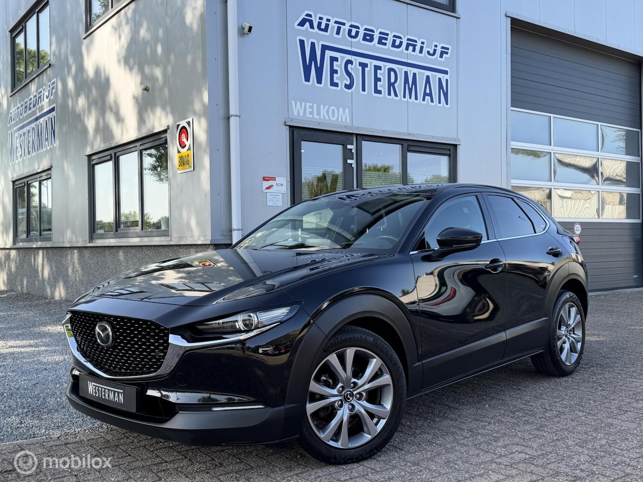 Mazda CX-30 - 2.0 e-SkyActiv M Hybrid Luxury Acc Leer Bose Trekh. etc - AutoWereld.nl