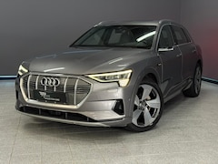 Audi e-tron - e-tron 55 quattro advanced Pro Line Plus 95 kWh