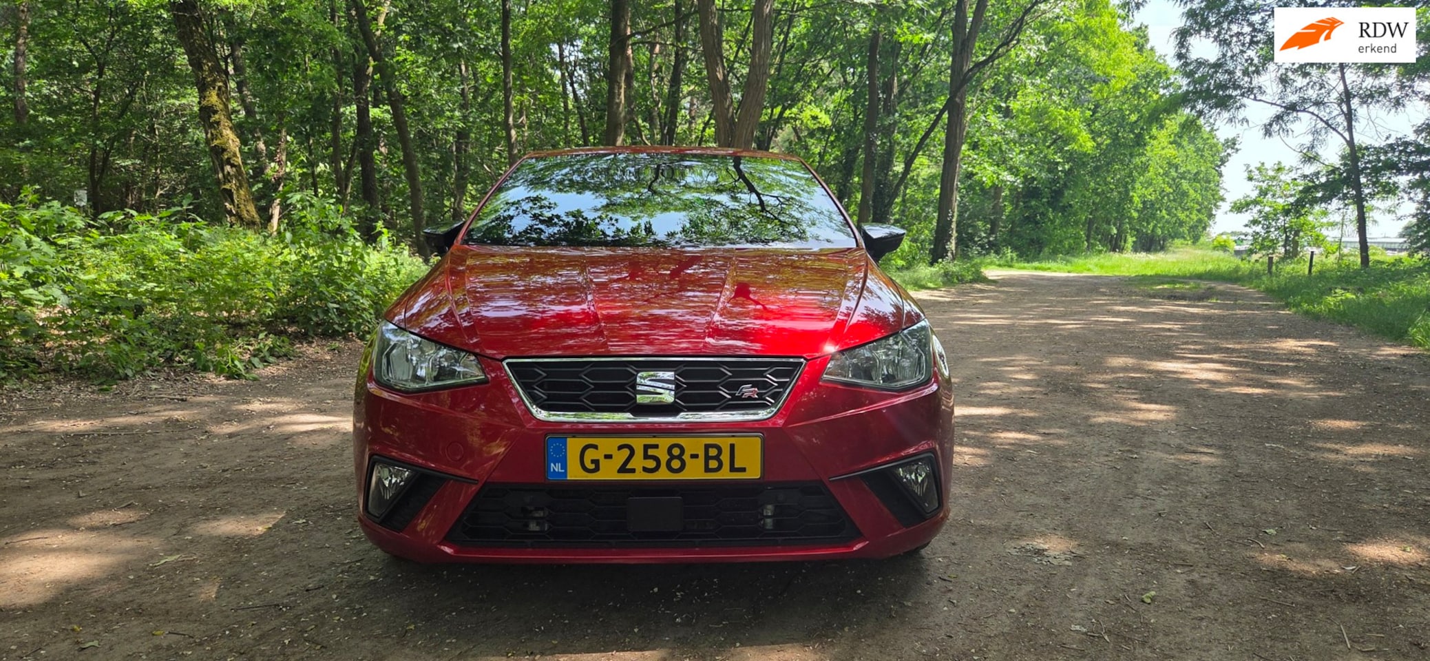 SEAT Ibiza - 1.0 TSI FR Business Intense 1.0 TSI FR Business Intense - AutoWereld.nl