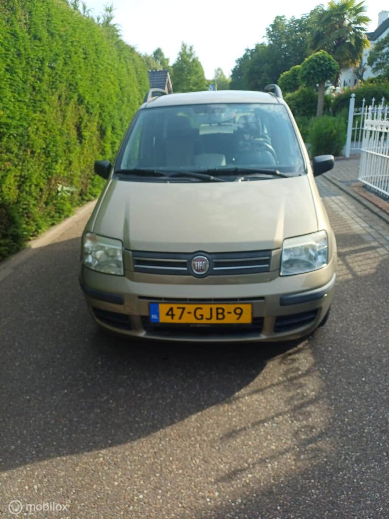 Fiat Panda - 1.2 Edizione Cool 1.2 Edizione Cool - AutoWereld.nl