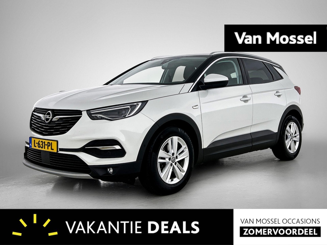 Opel Grandland X - 1.2 Turbo Business Executive || Apple Carplay/Android Auto || cruise control || Parkeersen - AutoWereld.nl