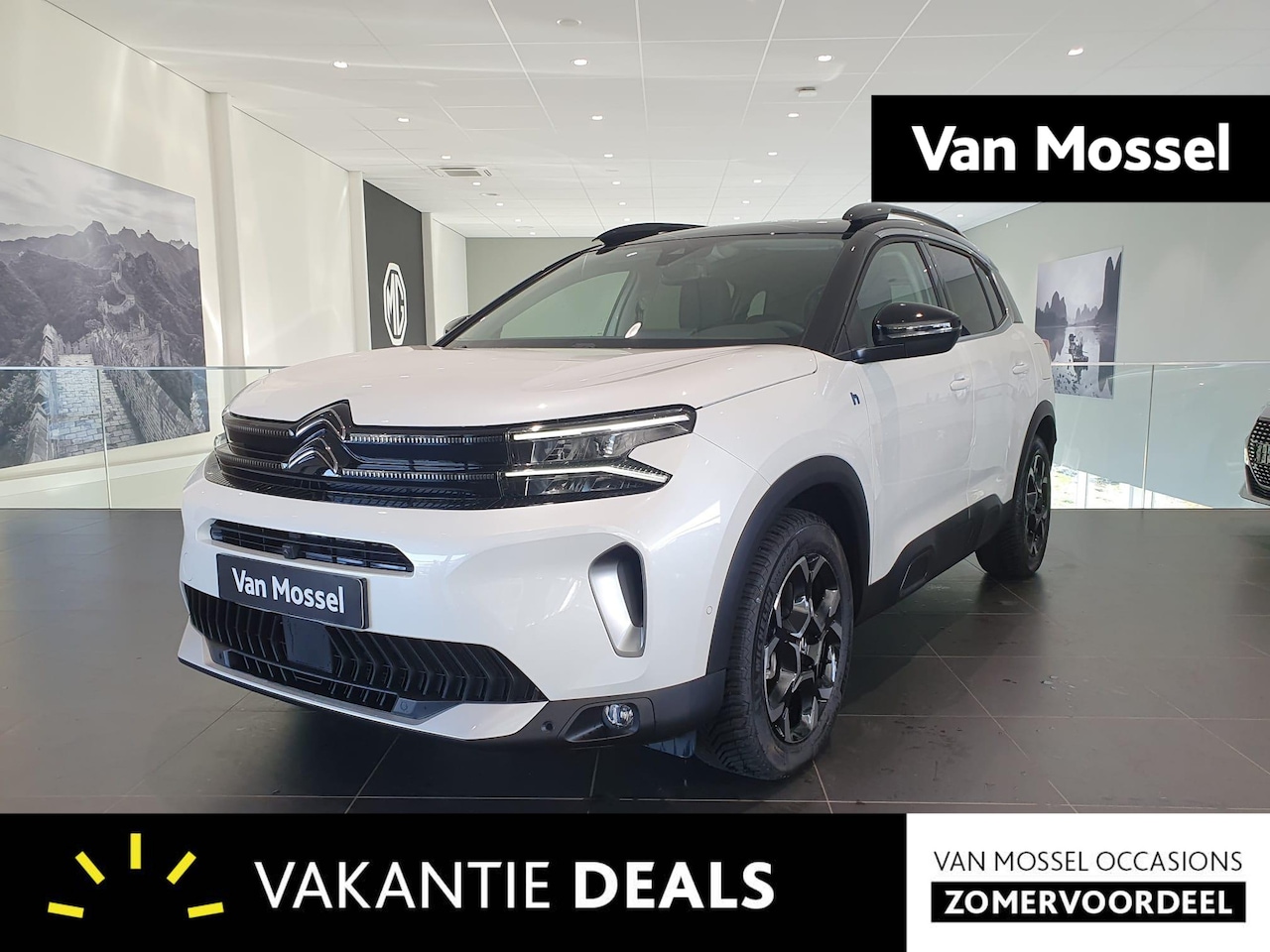 Citroën C5 Aircross - 1.6 Plug-in Hybrid 180 Business Plus - AutoWereld.nl