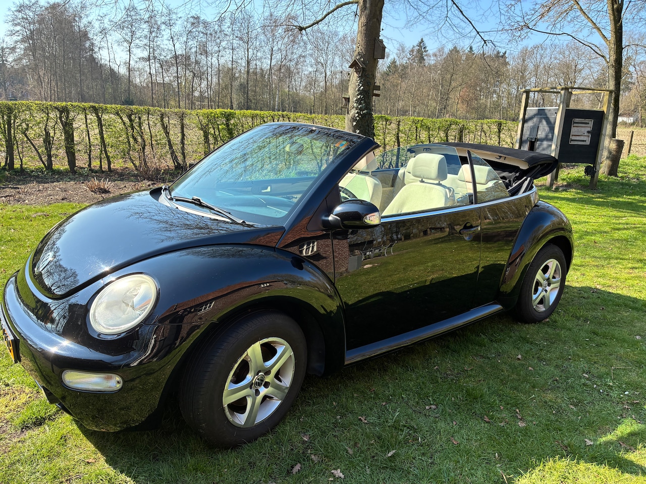 Volkswagen New Beetle Cabriolet - 1.4 - AutoWereld.nl