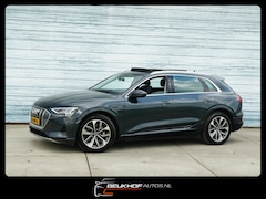 Audi e-tron - 55 Quattro 95 kWh Luchtvering Leer Nav Trekhaak