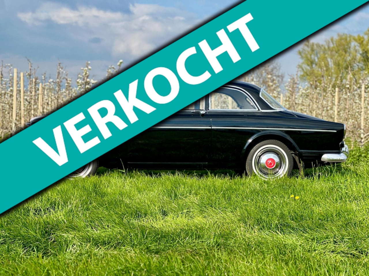 Volvo Amazon - Vroeg type, B18A, bijzonder model - AutoWereld.nl