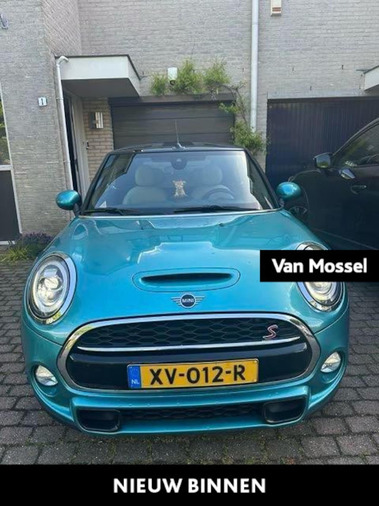 MINI Cabrio - 2.0 Cooper S Chili | Automaat | Apple Carplay / Android Auto | Parkeersensoren | Stoelverw - AutoWereld.nl