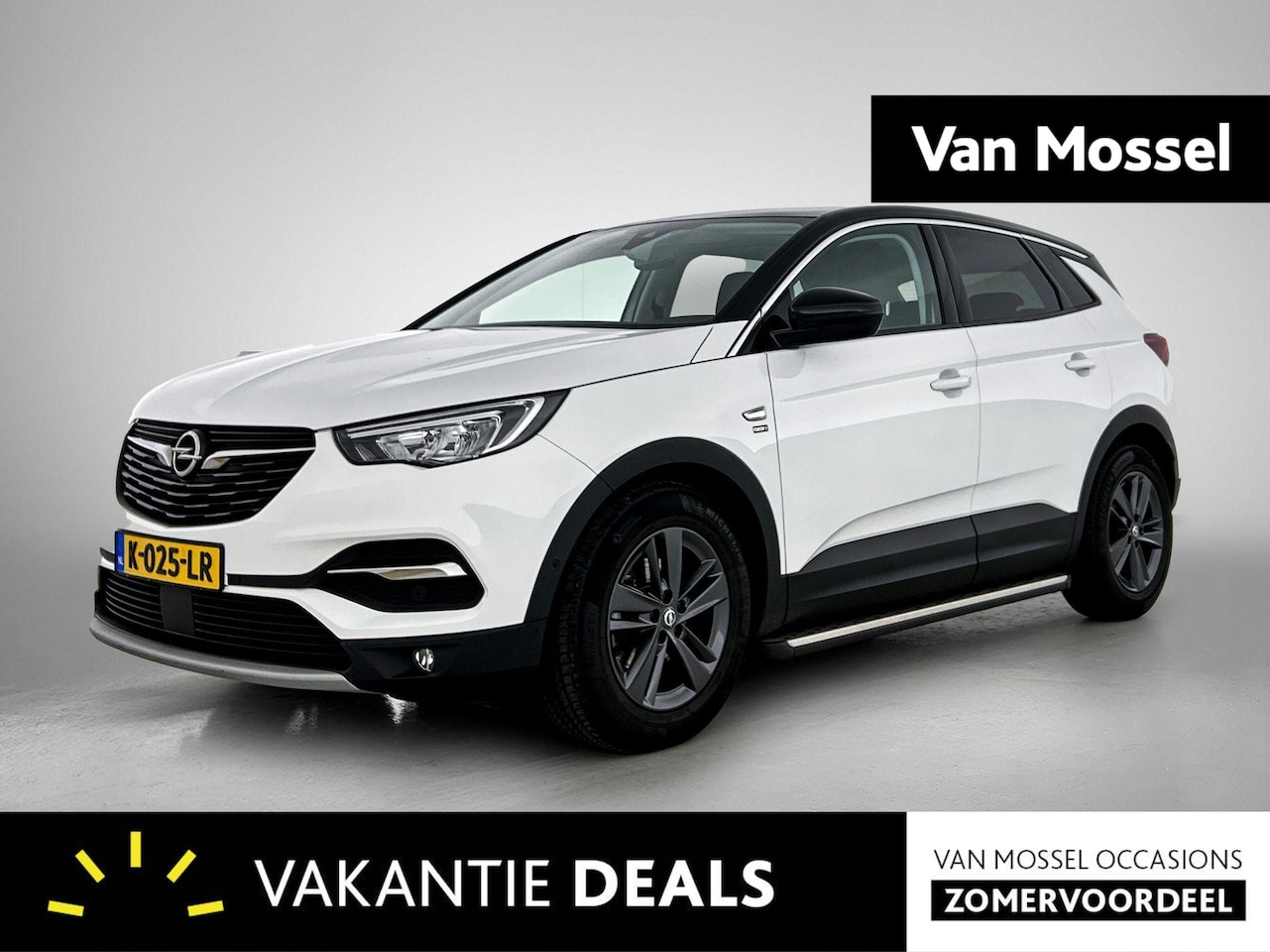 Opel Grandland X - 1.2 Turbo Edition 2020 | Panodak | Camera | Apple Carplay/Android Auto | Cruise - AutoWereld.nl