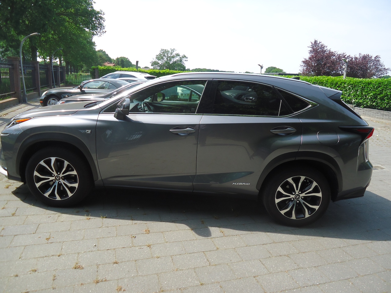 Lexus NX - 300h AWD F Sport Line origineel Nederlandse auto met nap
