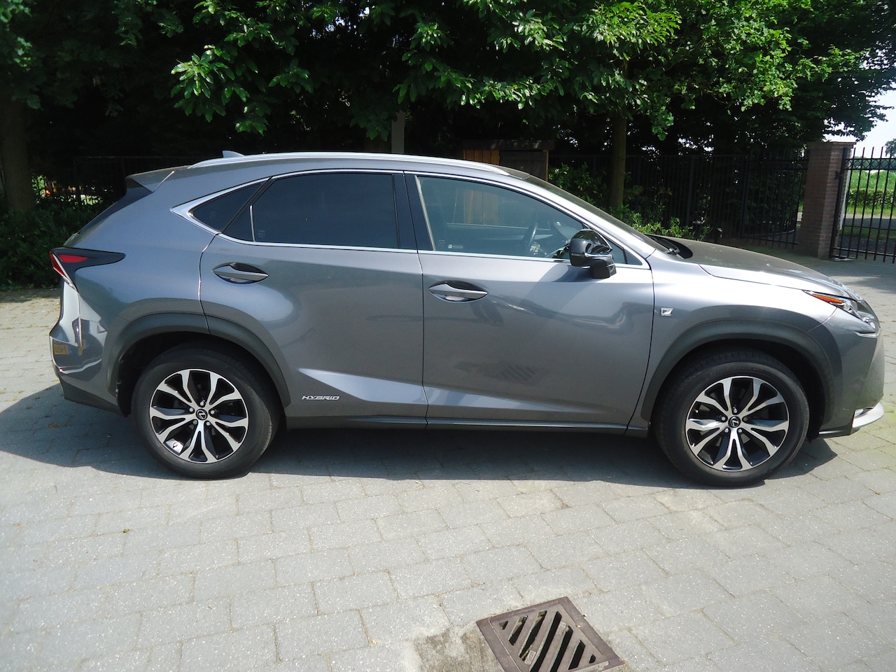 Lexus NX - 300h AWD F Sport Line origineel Nederlandse auto met nap