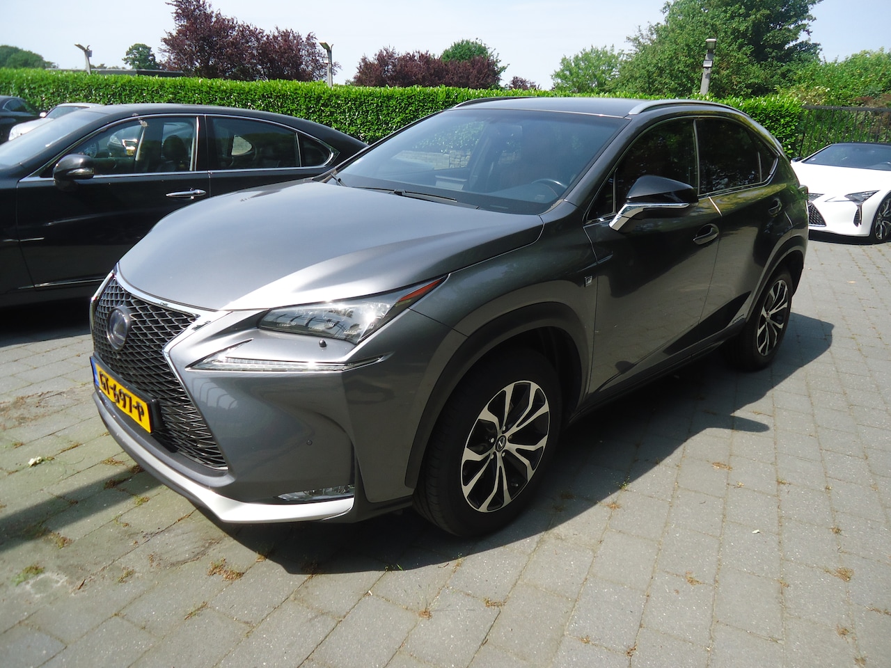 Lexus NX - 300h AWD F Sport Line origineel Nederlandse auto met nap