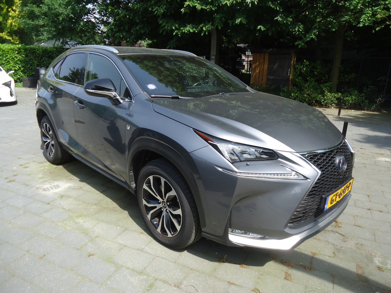 Lexus NX - 300h AWD F Sport Line origineel Nederlandse auto met nap
