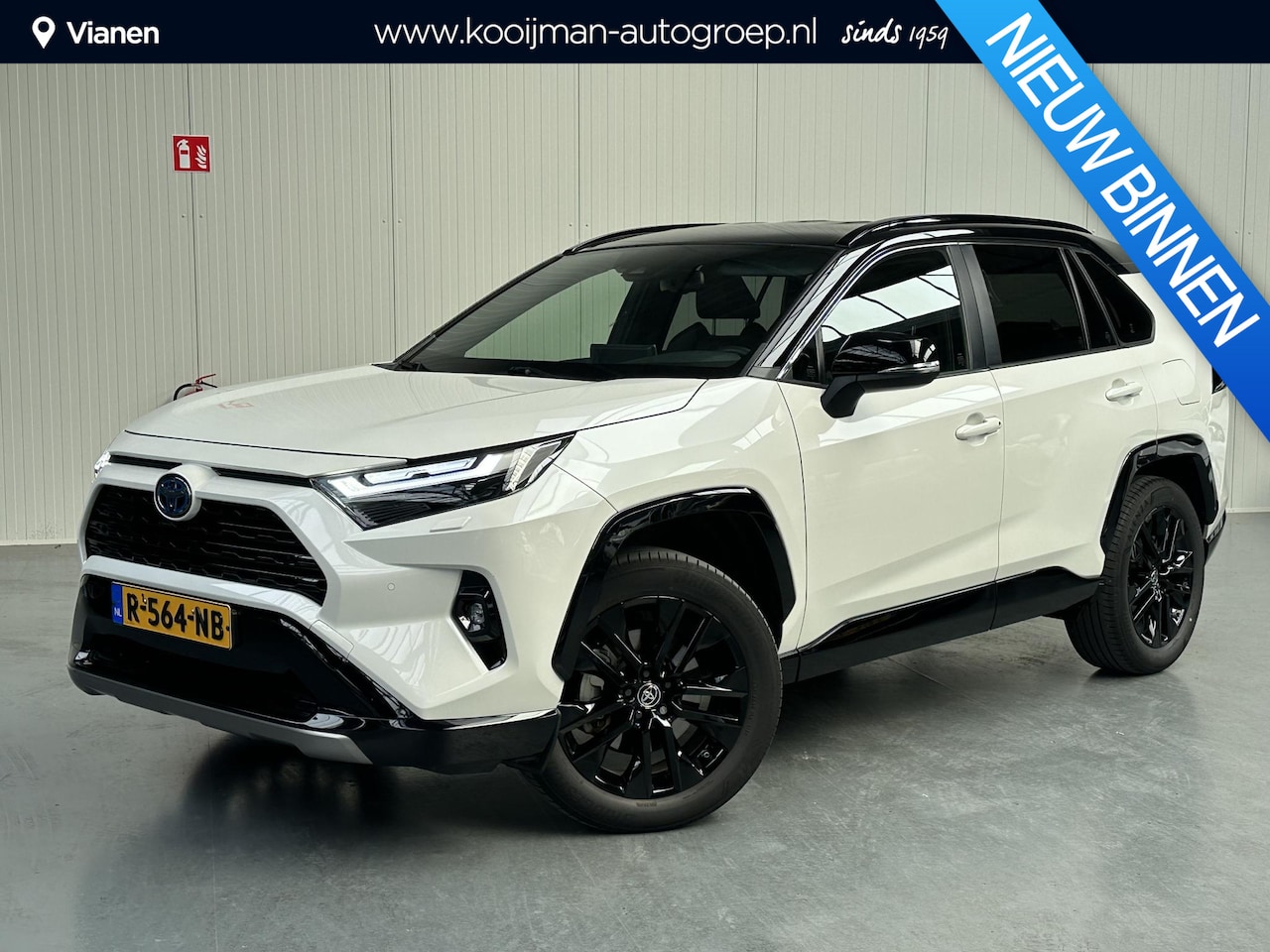 Toyota RAV4 - 2.5 Hybrid AWD Bi-Tone 2.5 Hybrid AWD Bi-Tone - AutoWereld.nl