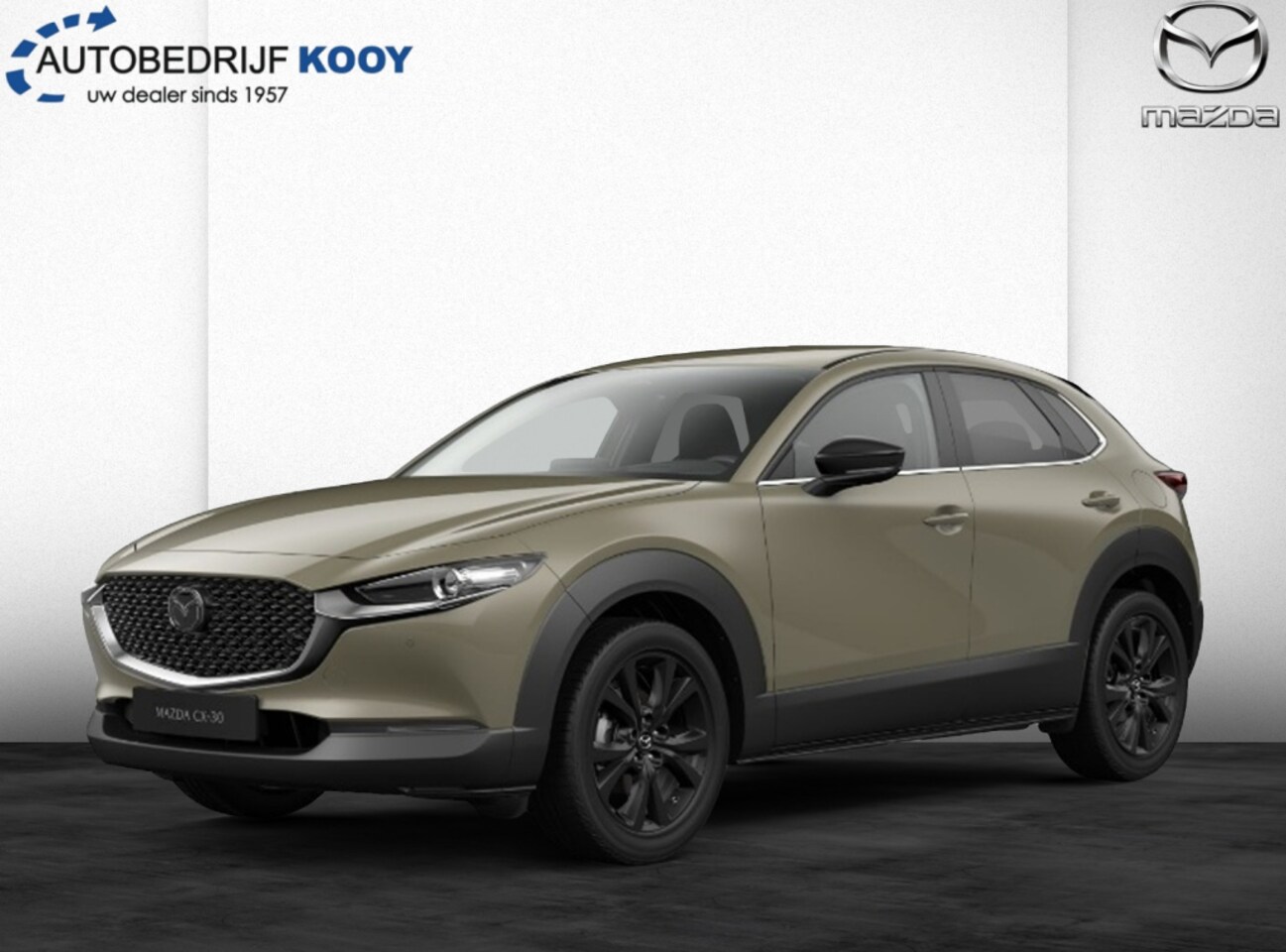 Mazda CX-30 - 2.5 AUT Homura/LED/HUD/Kooy VOORDEEL - AutoWereld.nl
