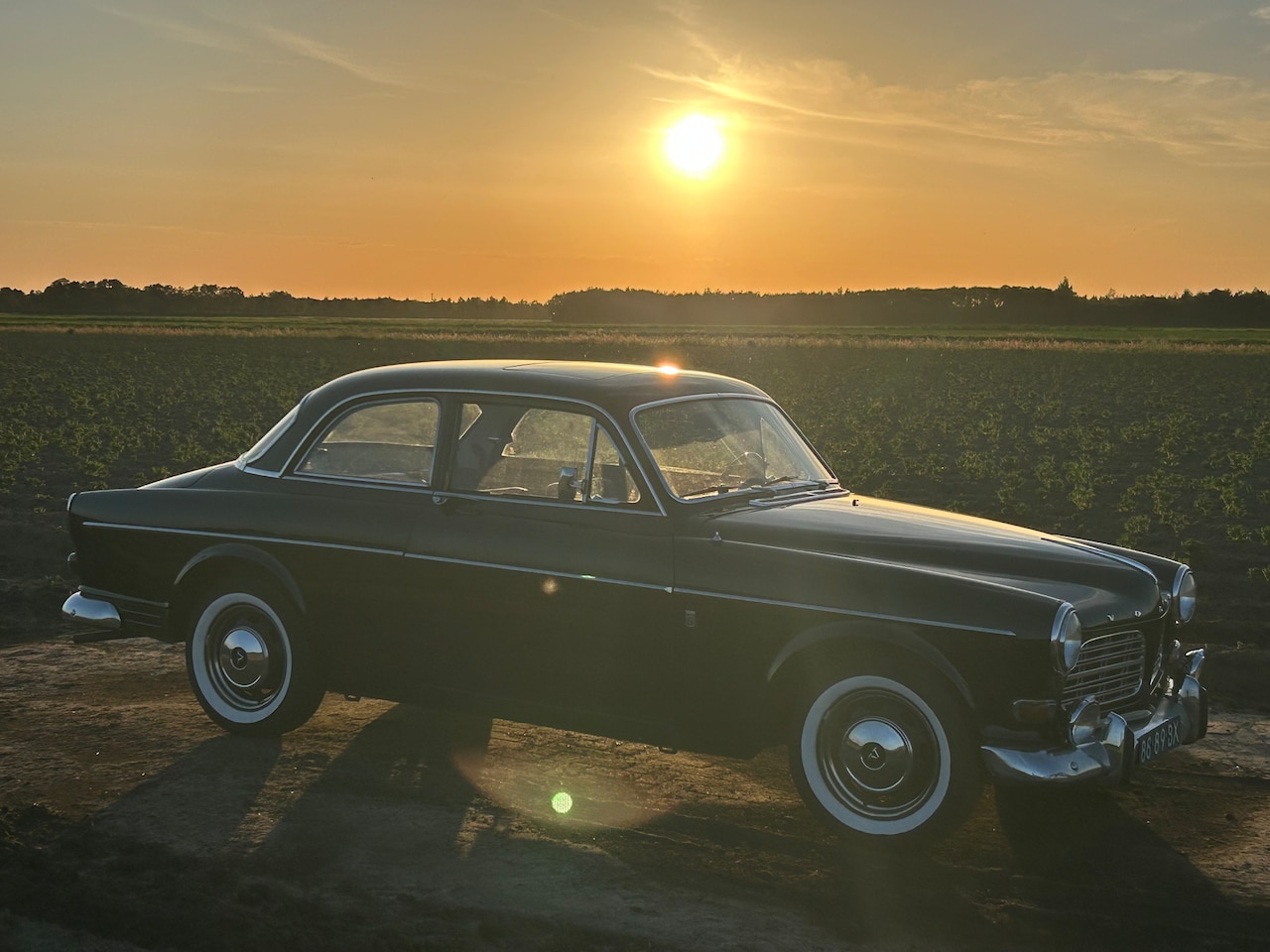 VOLVO P 13134