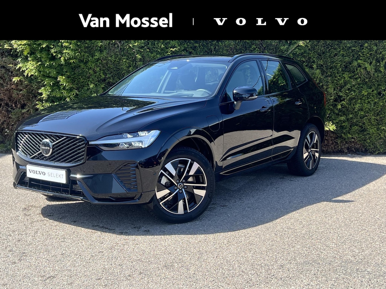 Volvo XC60 - T6 Plug-in hybrid AWD Plus Dark | Blis | Elektrische stoelen | Pano dak | Trekhaak | Stuur - AutoWereld.nl