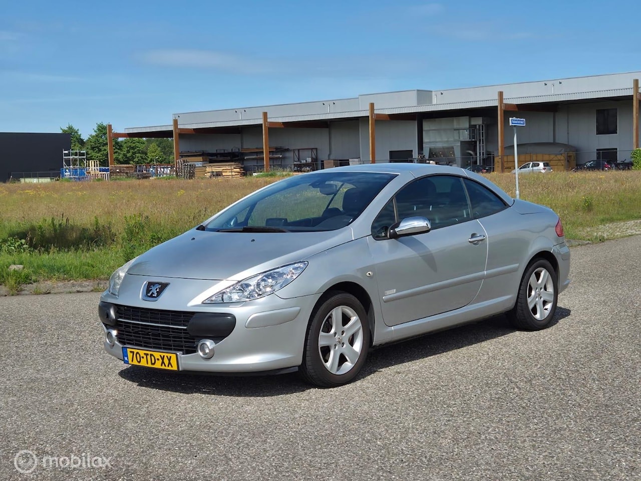 Peugeot 307 CC - 2.0-16V Cabrio / Automaat / Clima / Leer - AutoWereld.nl