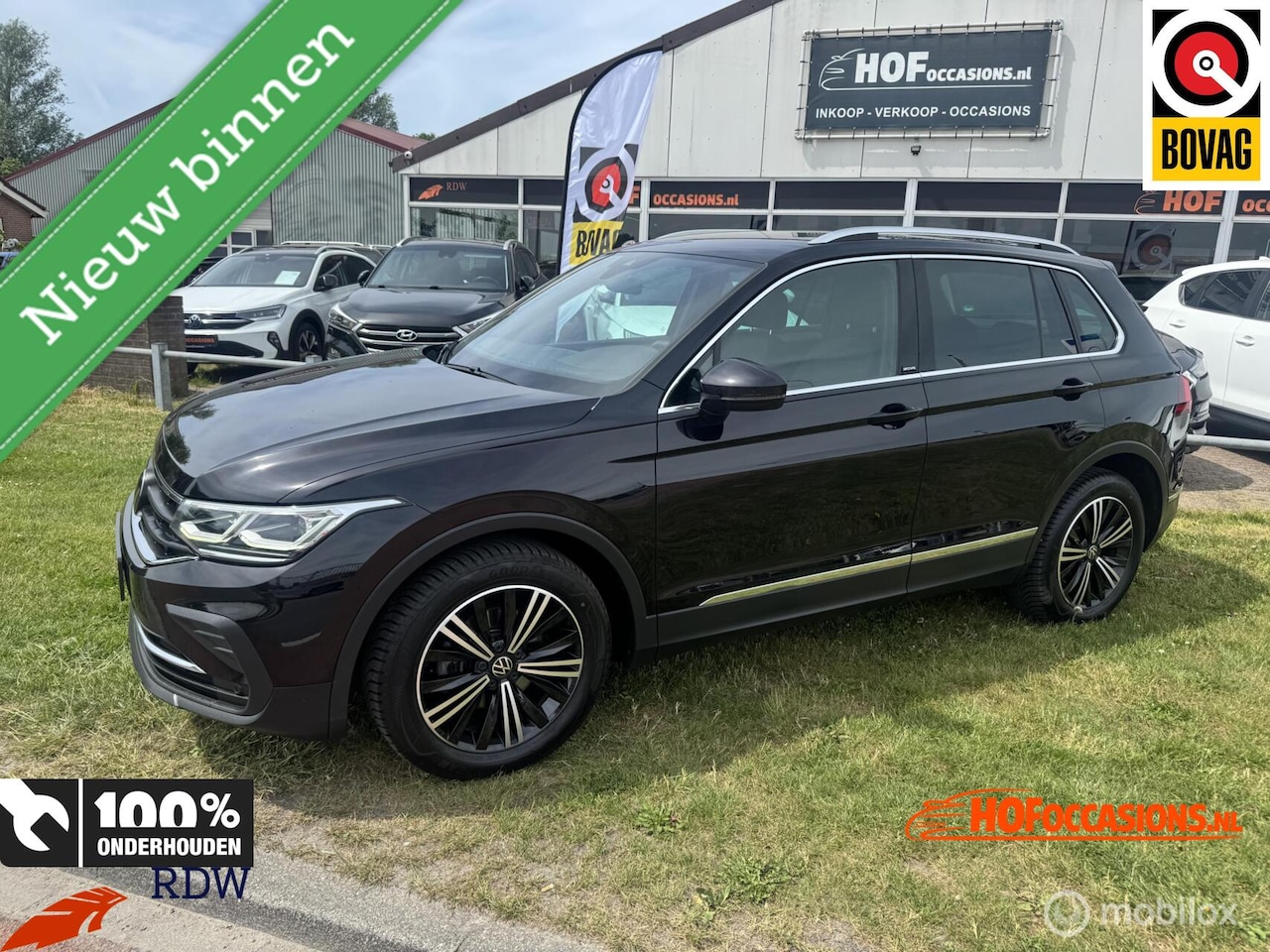 Volkswagen Tiguan - 1.5 TSI Life Business 1.5 TSI Life Business - AutoWereld.nl