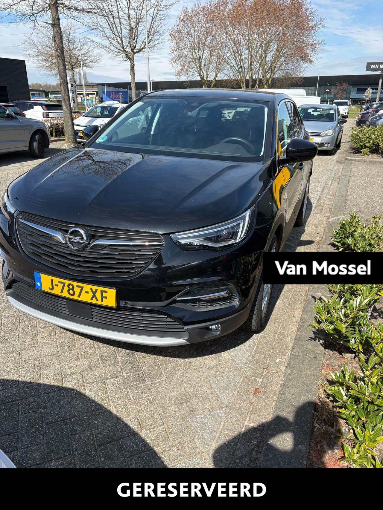 Opel Grandland X - 1.6 Turbo Hybrid Business Edition - AutoWereld.nl