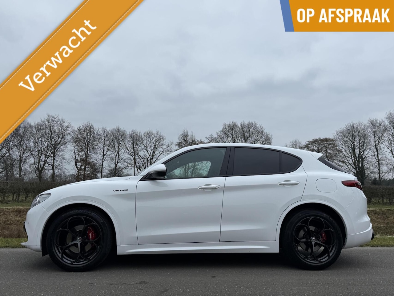 Alfa Romeo Stelvio - 2.0t Q4 Veloce 280pk, Avanti Style!! 20inch - AutoWereld.nl