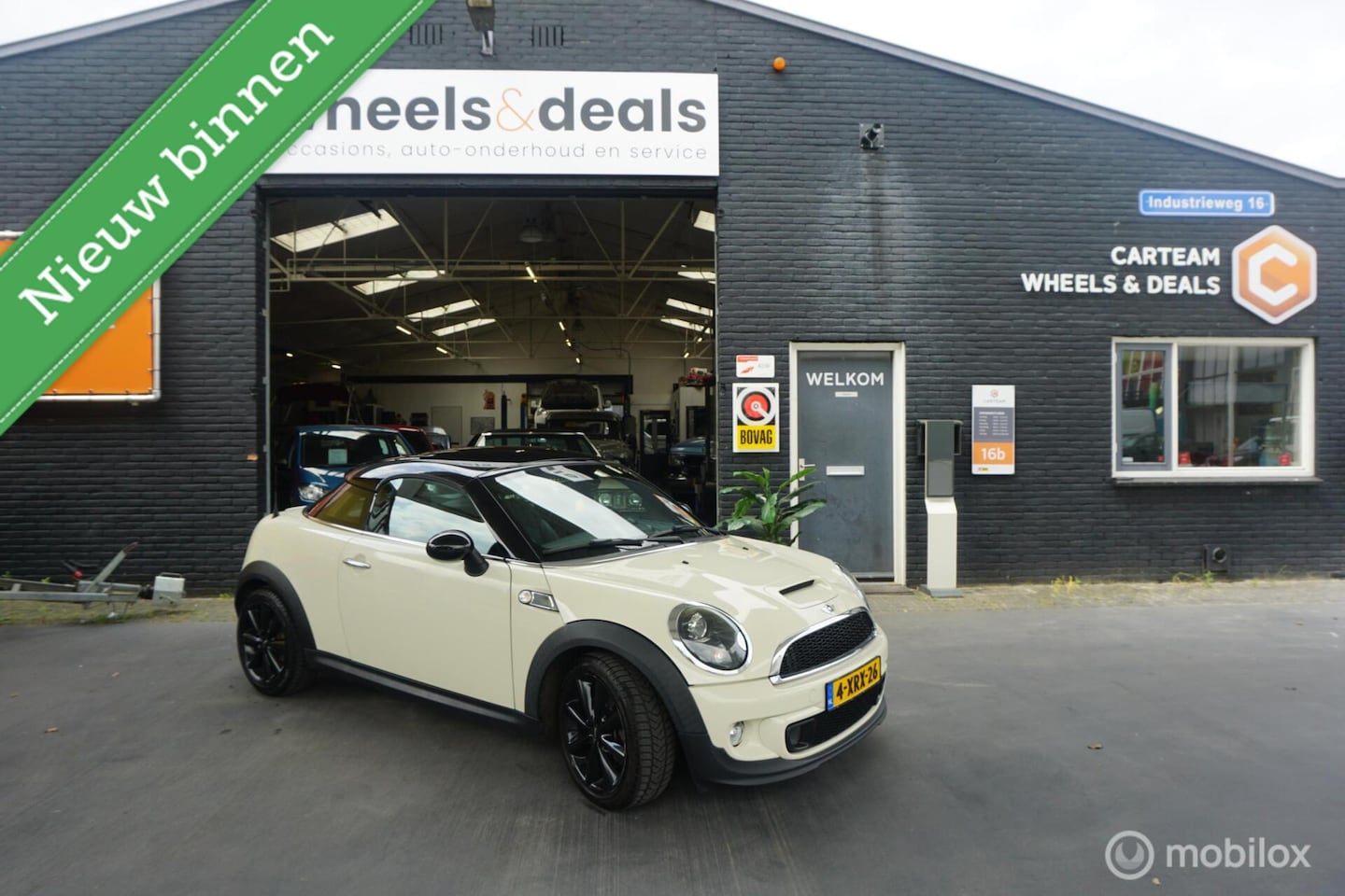 MINI MINI