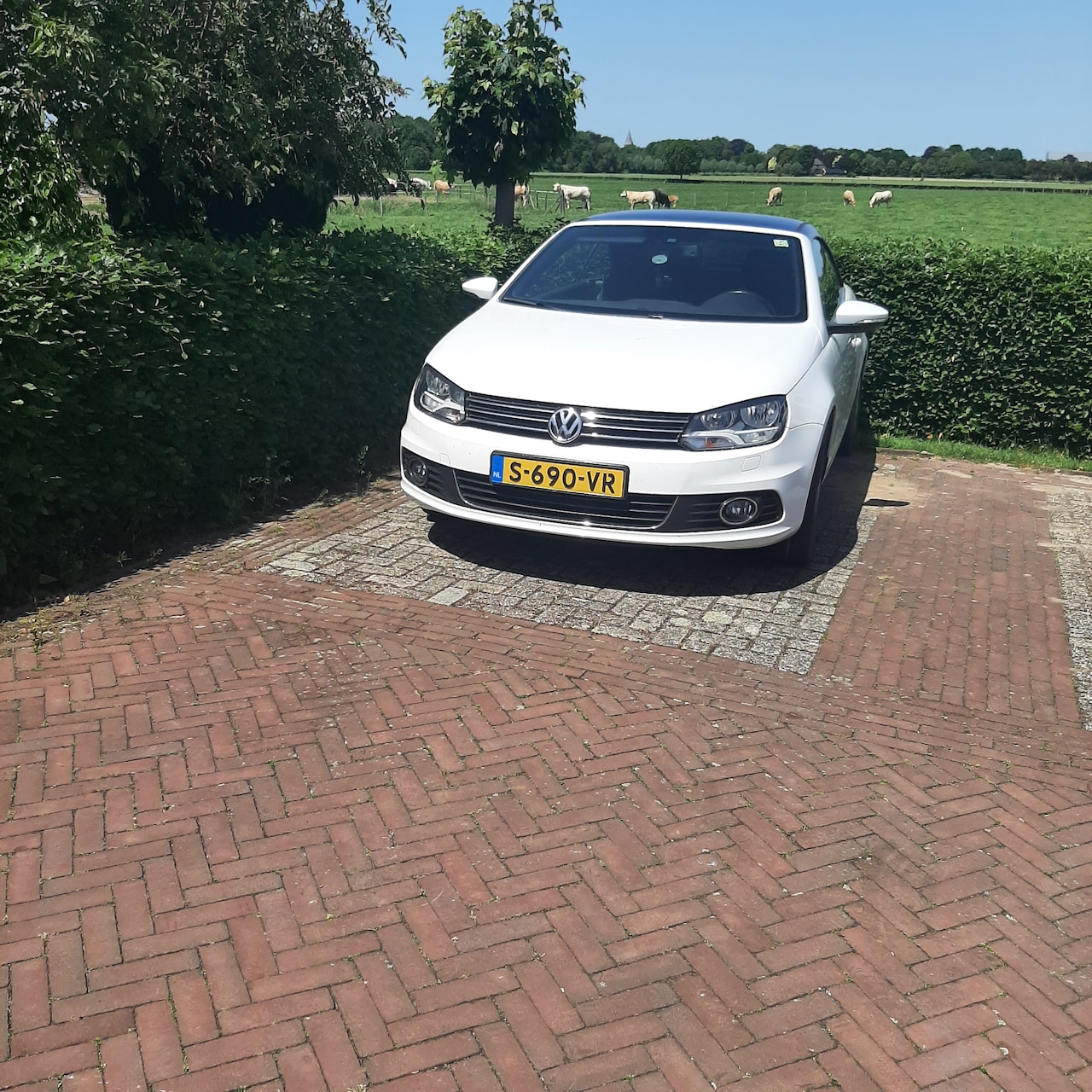Volkswagen Eos - 1.4 TSI - AutoWereld.nl