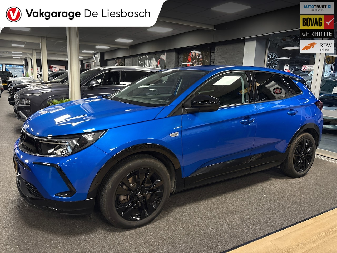 Opel Grandland - 1.6 Turbo Plug-In Hybrid GS Line / 225pk / stuur verwarming / camera / Apple carplay - AutoWereld.nl