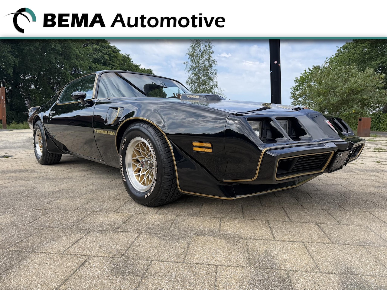Pontiac Firebird - 6.6 FW 87 Trans Am 6.6 FW 87 Trans Am - AutoWereld.nl