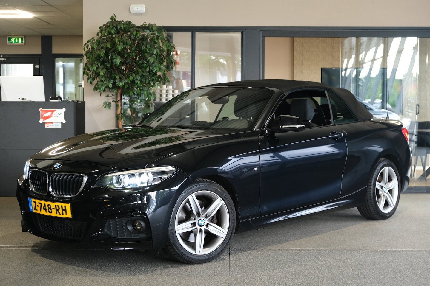 BMW 2-serie Cabrio - 220i High Executive facelift M-Sport 184PK Navi Cruise PDC CAM - AutoWereld.nl